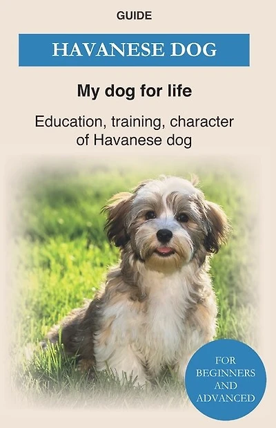 Havanese Dog: Education, training, character of Havanese Dogs - The Havanese Book