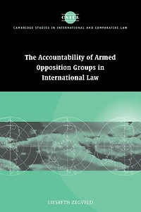 Accountability of Armed Opposition Groups International Law