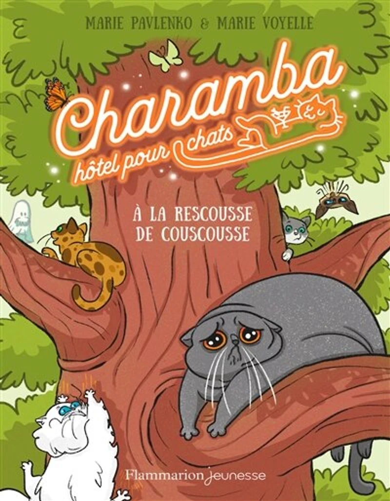 A la rescousse de Couscousse