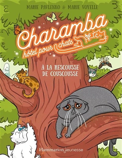 A la rescousse de Couscousse