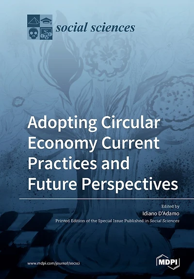 Adopting Circular Economy Current Practices And Future Perspectives