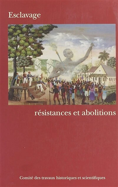 Esclavage : Résistances et abolitions: Actes du 123e Congrès national des sociétés historiques et scientifiques, Section d'histoire moderne et contemporaine, Fort-de-France, 6-10 avril 1998