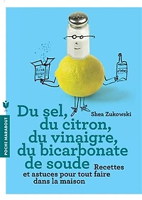 du sel, citron, vinaigre, bicarbonate de soude: recettes et astuces pour tout faire dans la maison
