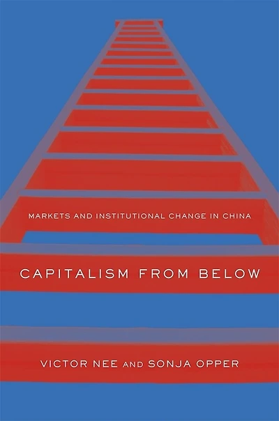Capitalism from Below: Markets and Institutional Change in China