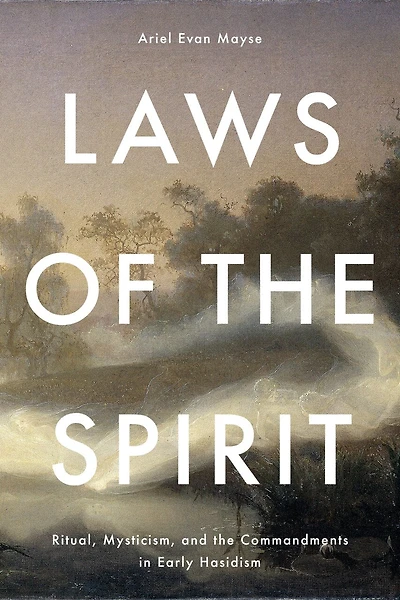 Laws of the Spirit: Ritual, Mysticism, and the Commandments in Early Hasidism