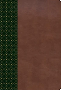 RVR 1960 Biblia de estudio Scofield, tapa dura