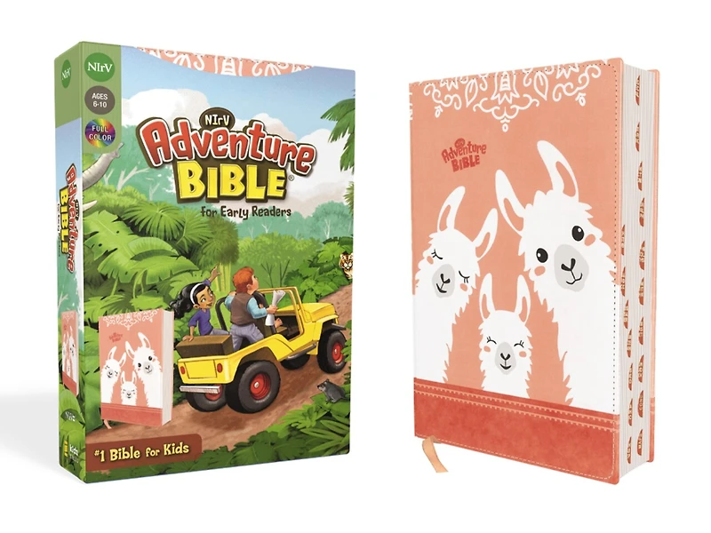 Adventure Bible for Little Ones