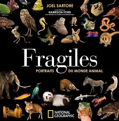 Fragiles: portraits du monde animal