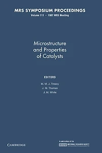 Microstructure and Properties of Catalysts: Volume 111