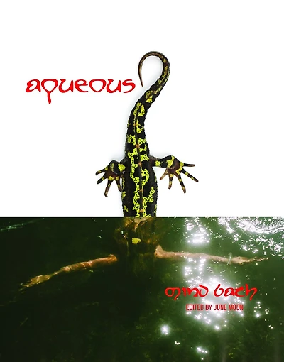 Aqueous