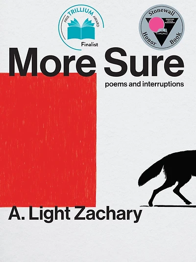 More Sure: Poems and Interruptions