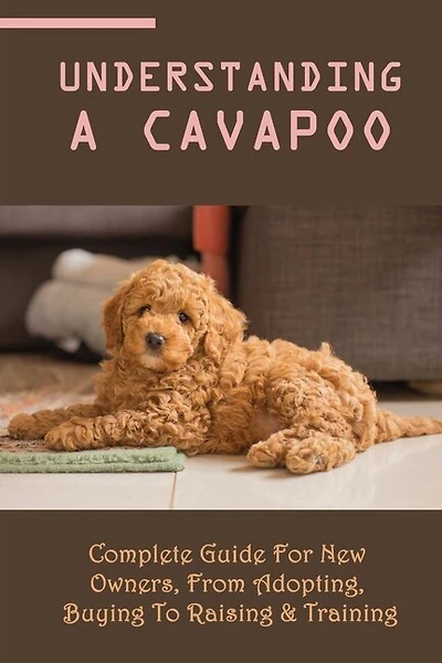 Understanding A Cavapoo: Complete Guide For New Owners, From Adopting, Buying To Raising & Training: Cavapoo Food And Nutrition