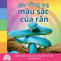 Cầu vồng trẻ, màu sắc của rắn: Giới thiệu màu sắc cho tâm trí trẻ