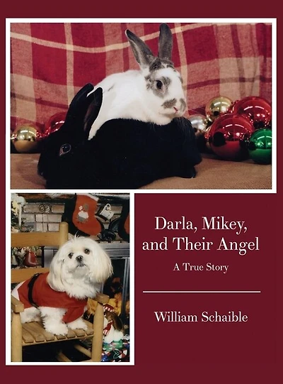 Darla, Mikey, and Their Angel: A True Story