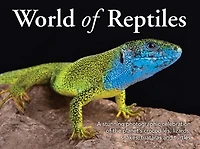 World of Reptiles: A Stunning Photographic Celebration of the Planet’s Crocodiles, Lizards, Snakes, Tuataras and Turtles