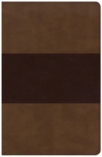 KJV Large Print Personal Reference Bible, Earthen SuedeSoft LeatherTouch