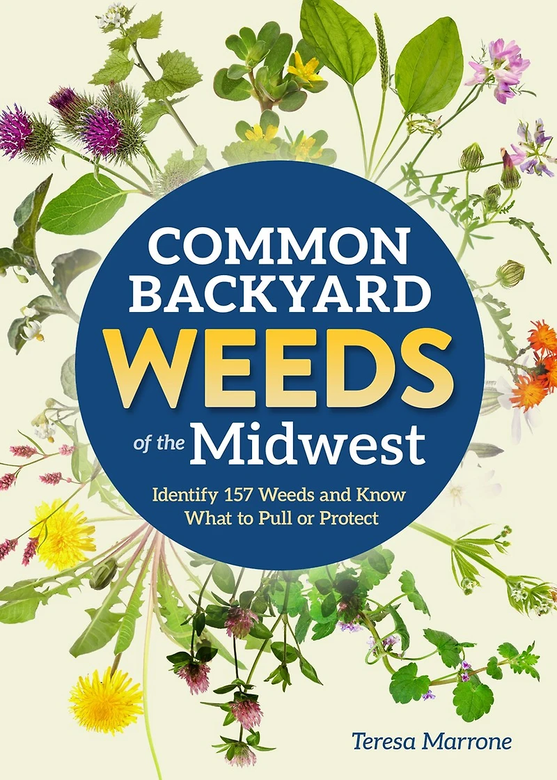 Common Backyard Weeds of the Midwest: Identify 157 and Know What to Pull or Protect