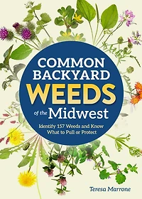 Common Backyard Weeds of the Midwest: Identify 157 and Know What to Pull or Protect