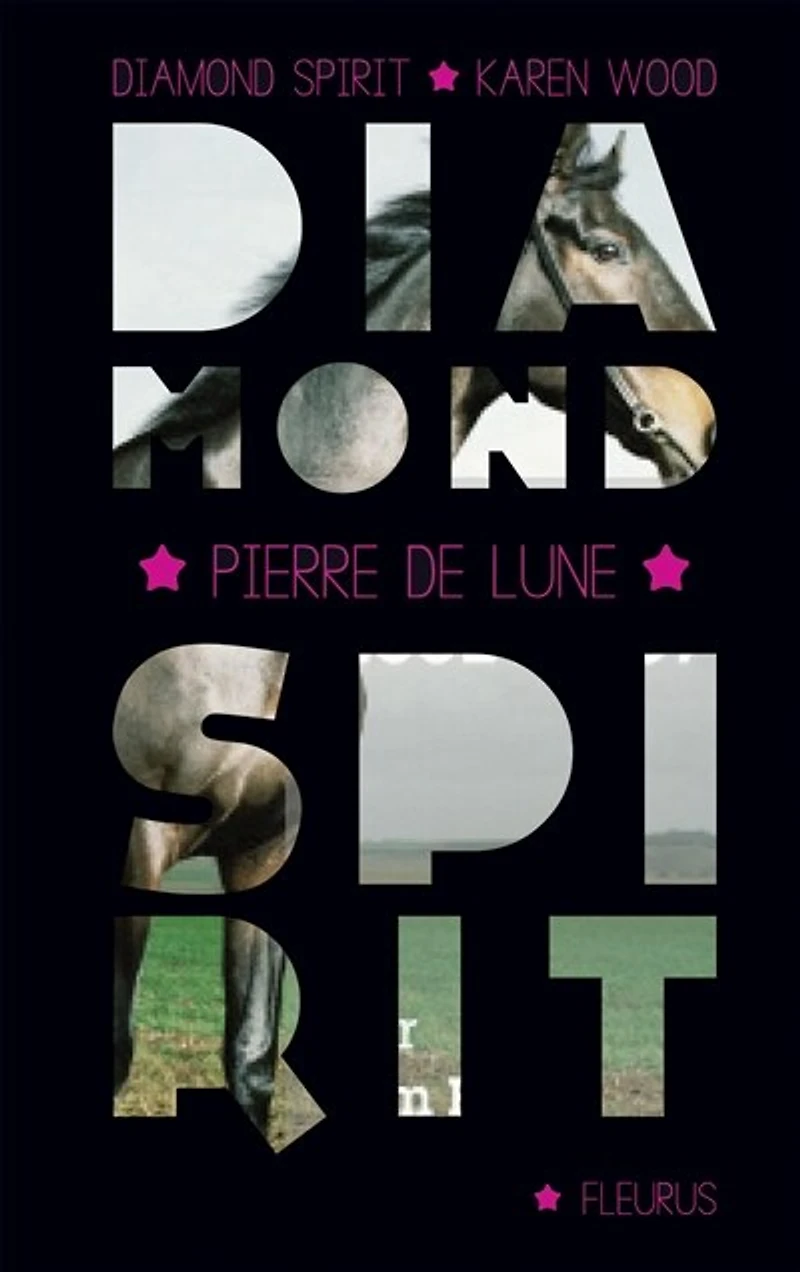 L' esprit du cheval sauvage