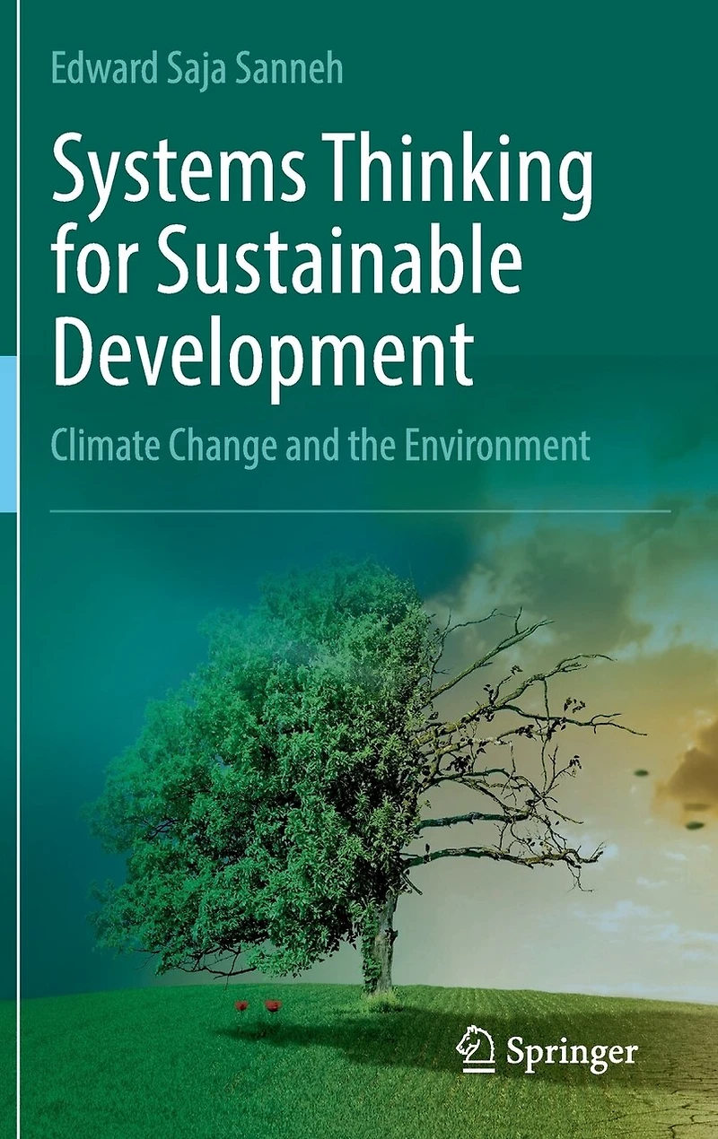 Systems Thinking for Sustainable Development: Climate Change and the Environment