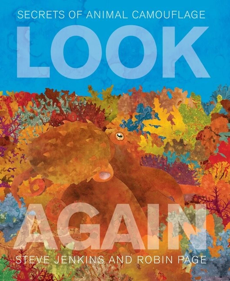 Look Again: Secrets Of Animal Camouflage