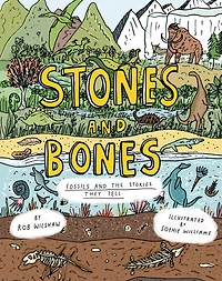 Stones and Bones: Fossils and the stories they tell