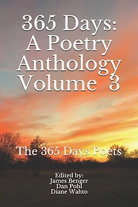 365 Days: Volume 3