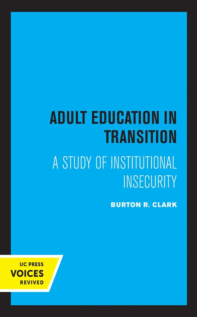 Adult Education Transition: A Study Of Institutional Insecurity