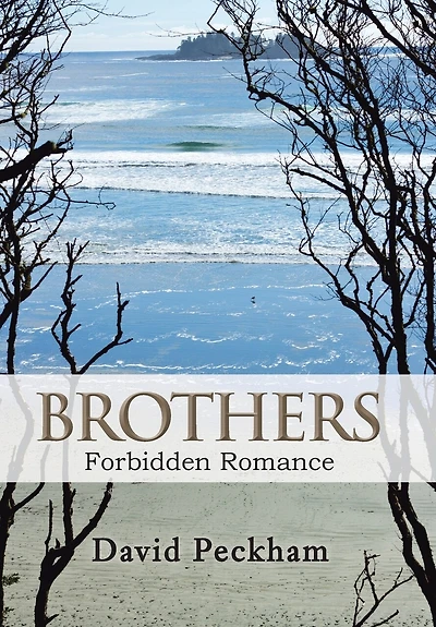 Brothers: Forbidden Romance