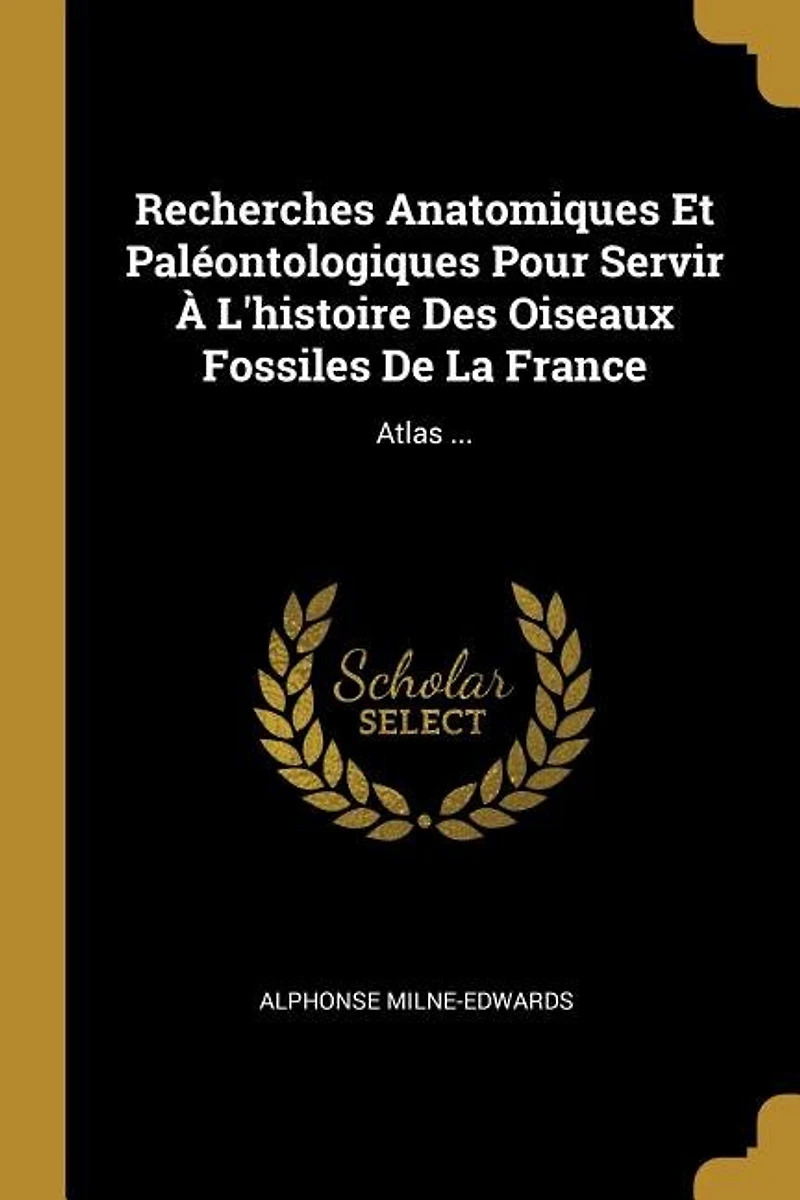 Recherches Anatomiques Et Paléontologiques Pour Servir À L'histoire Des Oiseaux Fossiles De La France: Atlas ...