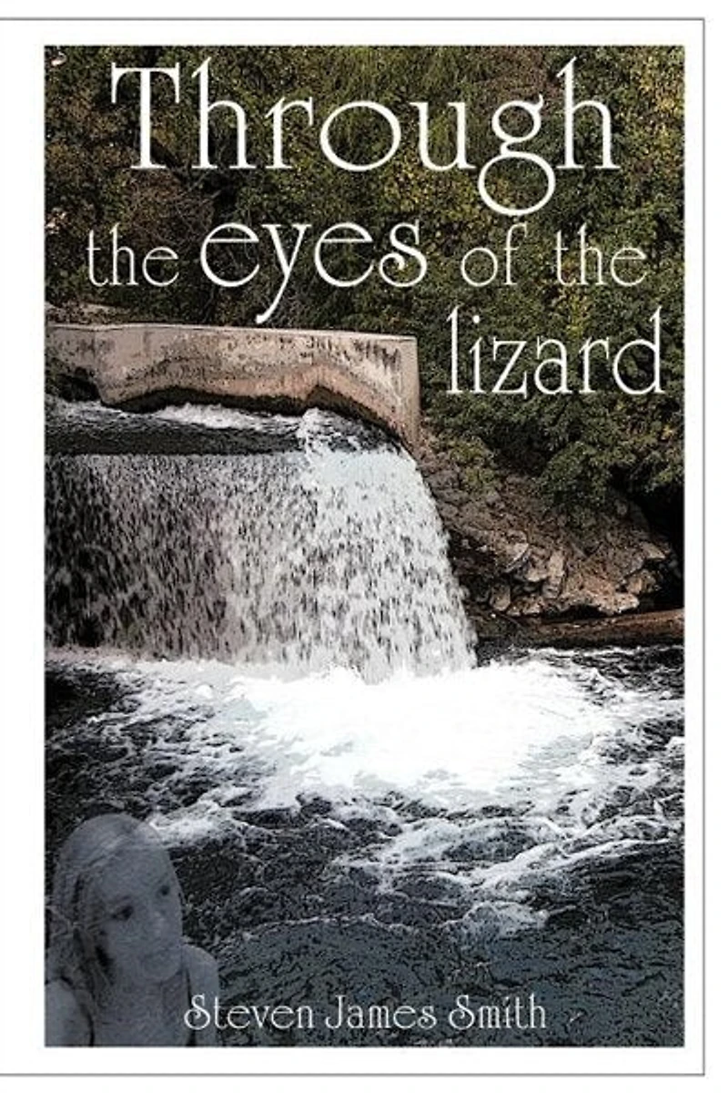 Through The Eyes Of Lizard