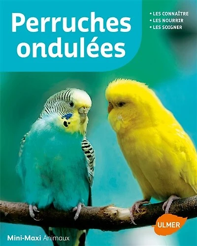 Perruches ondulées: les connaître, les nourrir, les soigner