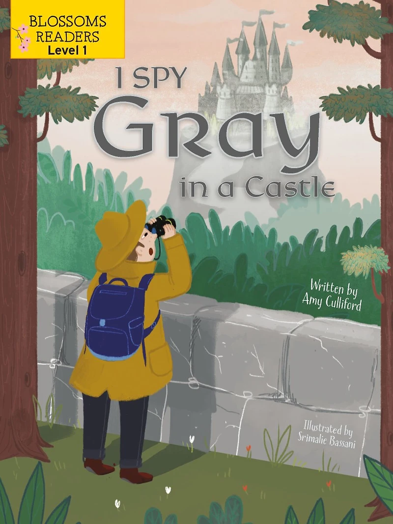 I Spy Gray a Castle