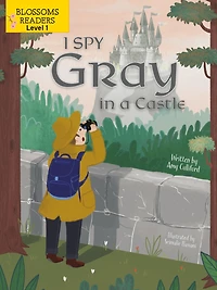 I Spy Gray a Castle