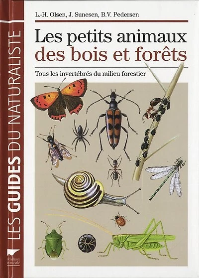 Les petits animaux des bois et forêts: tous les invertébrés du milieu forestier