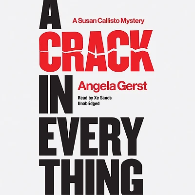 A Crack Everything: Susan Callisto Mystery