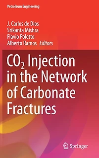 CO2 Injection the Network of Carbonate Fractures