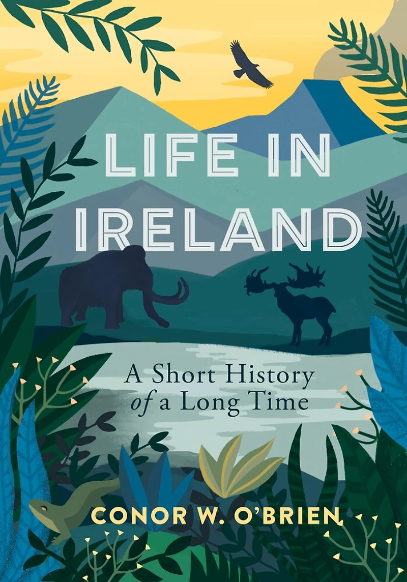 Life Ireland: a Short History of Long Time
