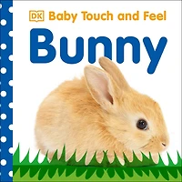 Baby Touch and Feel Bunny: An Interactive Spring Board Book