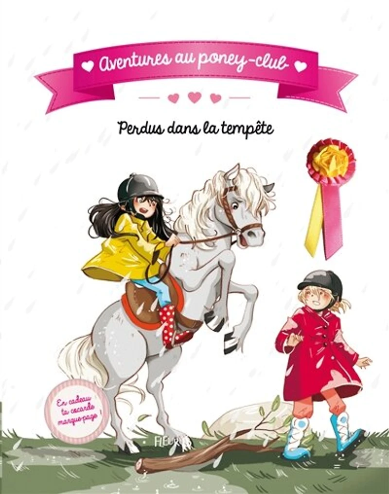 Perdus dans la tempête !