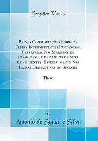 Breves Considerações Sobre As Febres Intermittentes Pantanosas, Observadas Nas Margens do Paraguassú, e de Alguns Seos Confluentes, Especialmente Lavras Diamantinas Sincorá: These (Classic Reprint)