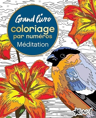 Grand livre de coloriage par numéros - Méditation