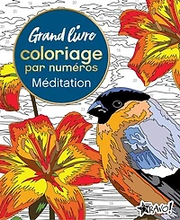 Grand livre de coloriage par numéros - Méditation