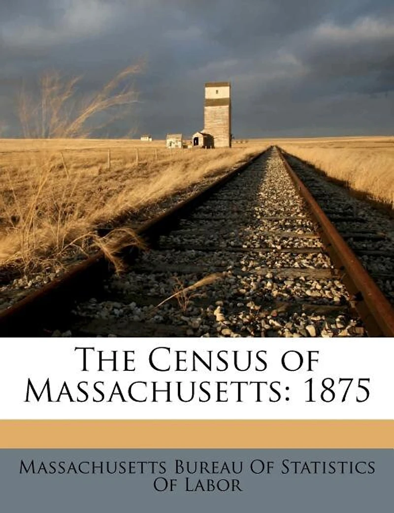 The Census of Massachusetts: 1875