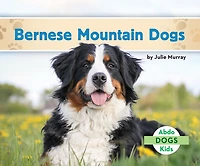 Bernese Mountain Dogs