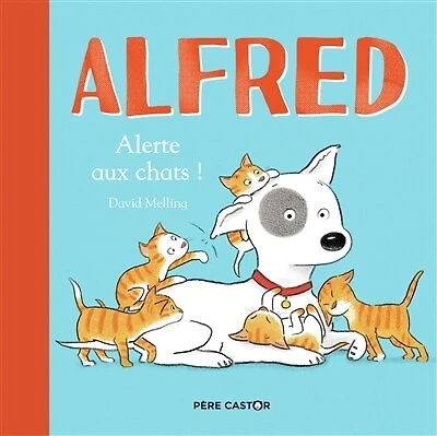 Alerte aux chats !