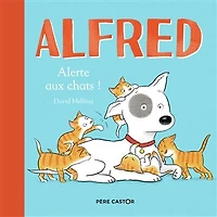 Alerte aux chats !