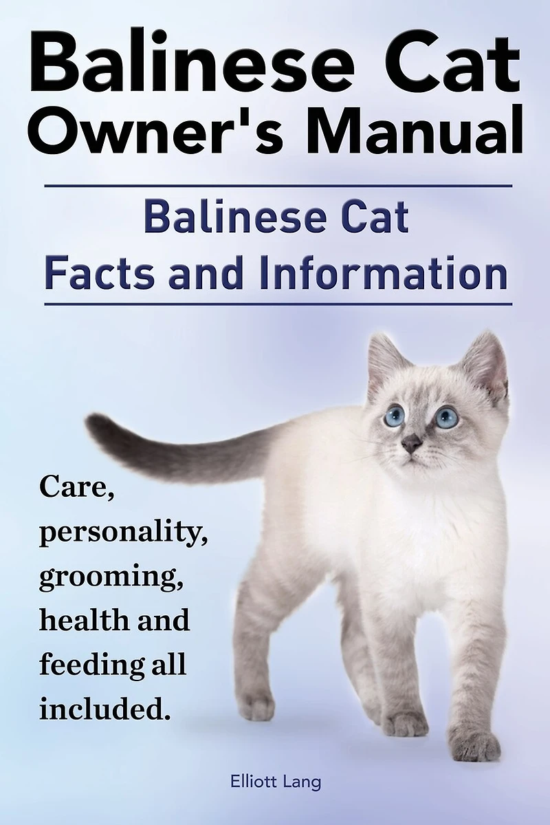 Balinese Cat Owner's Manual. Balinese Cat facts and information. Care, personality, grooming, health and feeding all included.