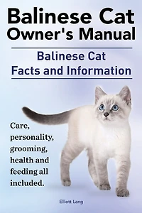 Balinese Cat Owner's Manual. Balinese Cat facts and information. Care, personality, grooming, health and feeding all included.