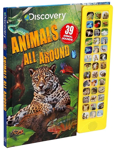 Discovery: Animals All Around